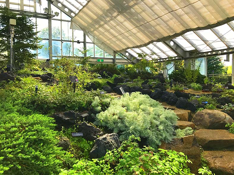富山県中央植物園 悪天候でも子供が走り回れる広い温室がある植物園 富山 で子供とお出かけ遊び場体験ブログ 雨の日の室内施設や公園 観光情報 コトコトとやま