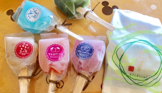【山岸ちまき本舗】富山県氷見市にある人気菓子店！贅沢フルーツ大福「福々」と子連れにオススメの溶けないアイスを紹介！