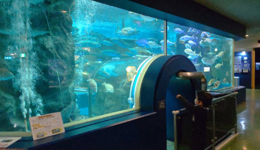 【2022年リニューアル！】【魚津水族館】日本最古の水族館で日本海の魚を鑑賞しよう！【富山子供連れ屋内遊び場】