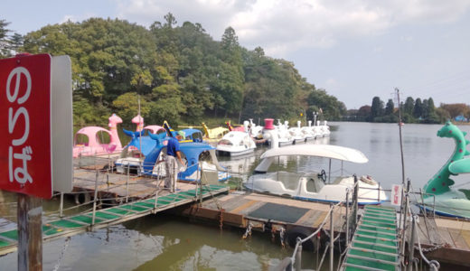 【太閤山ランド】の公園ボートに乗って家族の思い出を増やそう！【ママ１人でも大丈夫！】